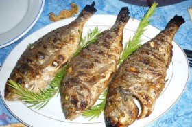 Ryba připravovaná na grilu